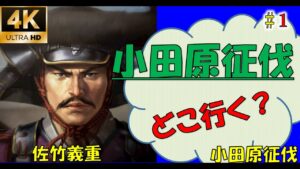 【信長の野望大志PK】【1話】初手どこいこうかな、、、【佐竹義重】【群雄終結】【新たな歴史を刻め】