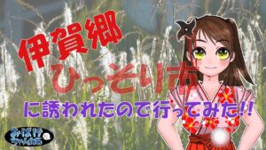 【信長の野望online】伊賀郷　ひっそり市に招待されたので行ってみた＾＾