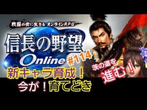 《#114》もしかして…もしかすると？ 今って育成し時じゃん！【信長の野望ONLINE～天楼の章～】（PS4/LIVE配信）