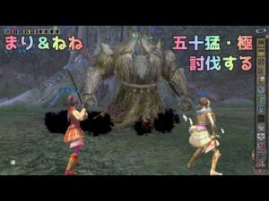 【信長の野望Online】新春美女2人と挑む五十猛・極討伐【麻痺系技能なし】