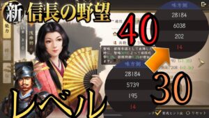 【新信長の野望】レベルを上げると逆に弱くなる可能性がある⁉武将2選・奥義説明【攻略・解説】
