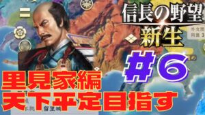 信長の野望・新生 #36 里見家編 #6 まったり天下平定目指す