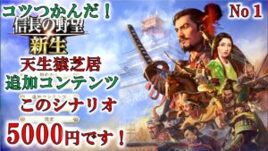 5000円の価値はあるのか？検証しますっ！　信長の野望新生　上級モード天正猿芝居　　No1