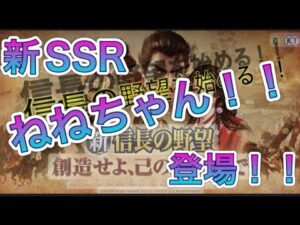 【新信長の野望】新SSRねねちゃん!!登場!!ねねちゃんの能力を見ていこう!