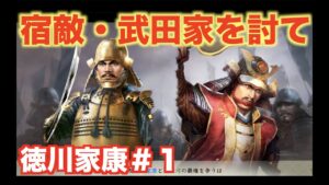 【信長の野望新生】徳川家康#1   宿敵・武田勝頼の領土を奪い取れ!