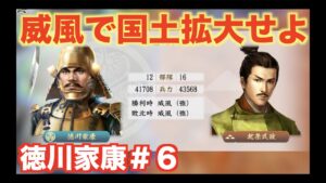 【信長の野望新生】徳川家康＃６  北条氏政よ、いざ尋常に勝負！！！！！！