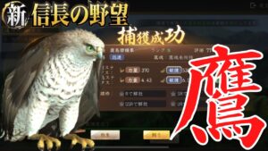 【新信長の野望】鷹システム・アップデート12月27日【攻略・解説】