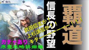 【信長の野望】🌟序盤攻略詳細編🌟B領土制圧までの道のり&他家との戦闘【覇道】