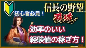 【信長の野望・覇道】《解説》初心者必見!効率のいい武将Lv上げ!(スマホ/PC/攻略/解説)