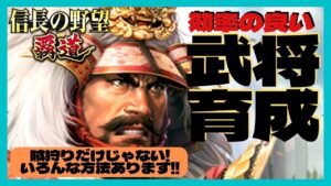 【信長の野望 覇道】効率の良い 武将育成 育成は賊狩りだけじゃない(^▽^)/ (初見・初心者・育成・実況・攻略・武将・おすすめ・任命・将星・政治・調達・練達・装備・秘伝・目安箱)