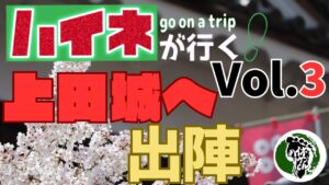 【信長の野望 出陣】ハイネが行く!vol.3 上田城へ出陣!!
