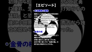 【信長の野望】生涯無敗なのにマイナーな戦国武将【最強国衆】
