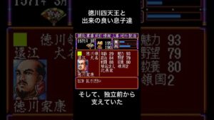 【信長の野望】天下統一を目指す徳川家康を支えた最強家臣団！#ゆっくり解説 #信長の野望 #信長の野望武将風雲録 #武将 #最強 #歴史 #コーエー #徳川家康